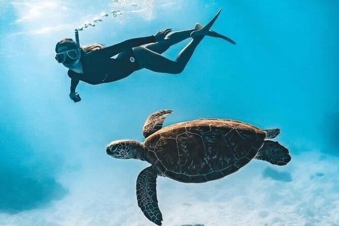 Bali Snorkeling at Blue Lagoon and Tanjung Jepun with Transfer - Getting from Ubud to Padangbai: more than just a ride