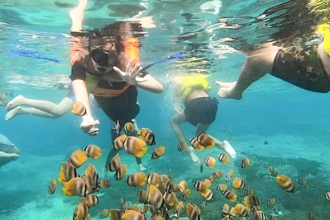 Bali Snorkeling Tour At Blue Lagoon with Gate of Heaven Temple - Who this tour fits best (and who may want a different plan)