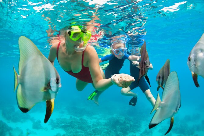 Bali Snorkeling Tour At Blue Lagoon with Gate of Heaven Temple - Stop 1: Blue Lagoon Beach snorkeling for clear, beginner-friendly water