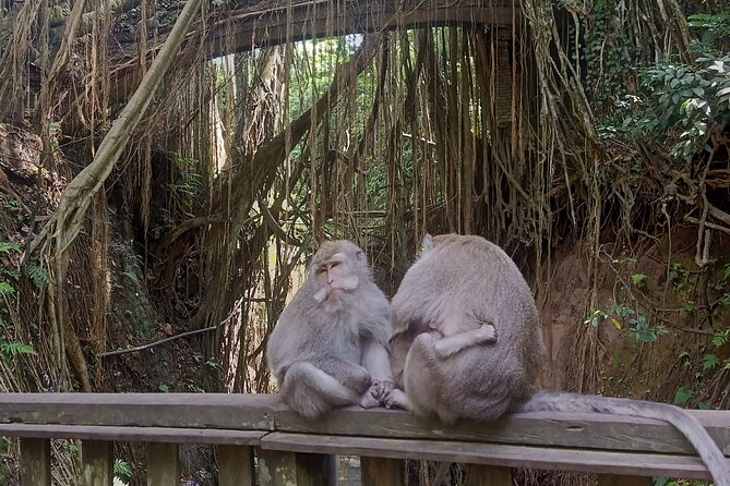 Bali Sunrise Horse Riding and Tour - Food, Coffee, and the End of the Day Reset
