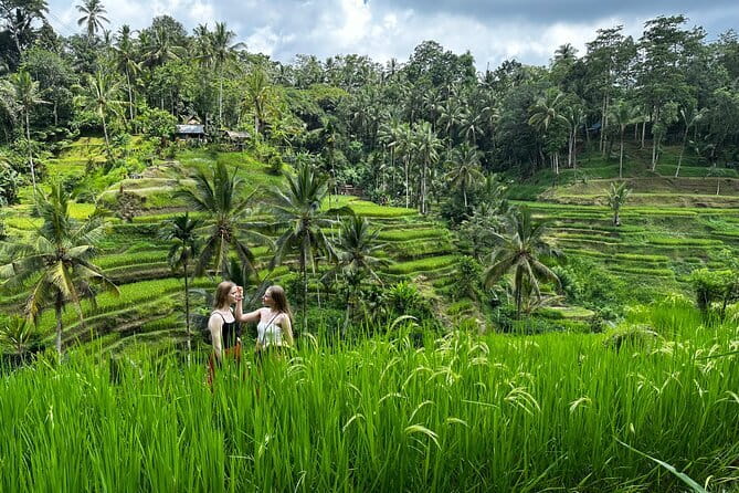 Bali Sunrise Without Hiking: Temples, Rice Terraces & Waterfall - Key Things You’ll Want to Know Before You Go