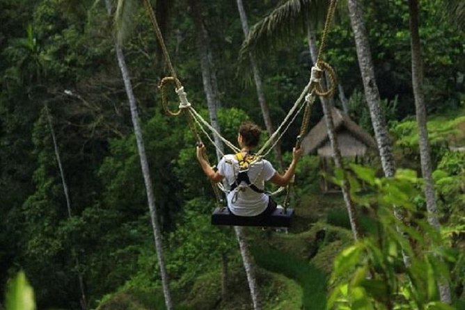 Bali Swing Heaven and White Water Rafting with All Inclusive - Shower, Locker, and Buffet Lunch: The Recovery Part That Makes It Worth It