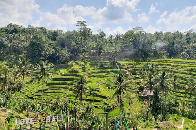 Bali Swing Ubud Private Day Tour - Sacred Monkey Forest Sanctuary: 12 Hectares of Long-Tailed Macaques