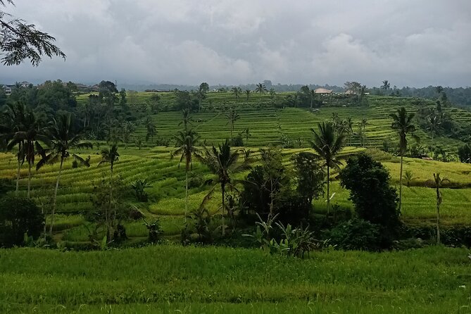 Bali Tanah Lot, Ulun Danu Beratan & Jatiluwih Rice Terrace - Price and What You’re Really Paying For ($62.80 pp)