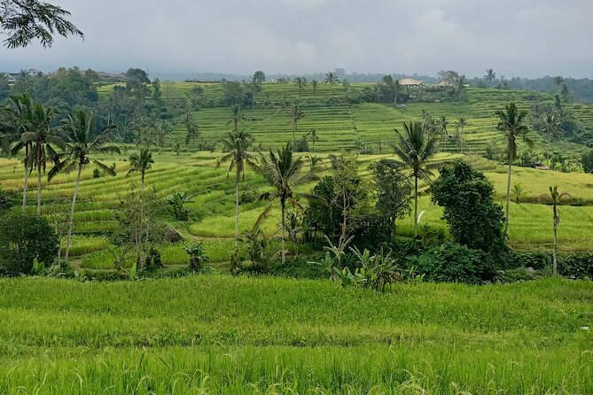 Bali Tanah Lot, Ulun Danu Beratan & Jatiluwih Rice Terrace - Private Pace: Why the Car and Guide Time Matters
