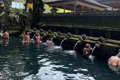 Bali Tirta Empul Tours Experience with Spiritual Cleansing - Tegalalang Rice Terraces and learning subak irrigation