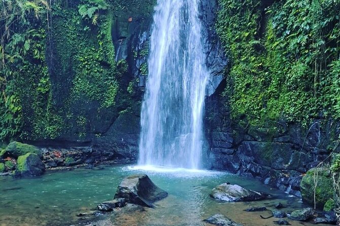 Bali Tirta Empul Tours Experience with Spiritual Cleansing - Best fit: who this tour is for in Ubud