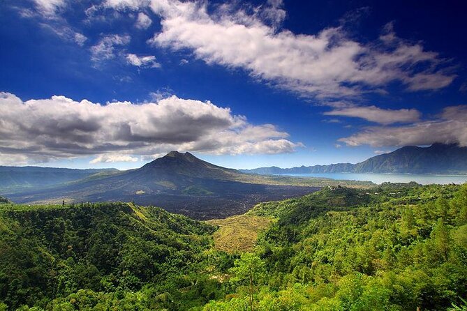 Bali Tour: Kintamani Tour with Lunch - A full-day private circuit built around efficient timing