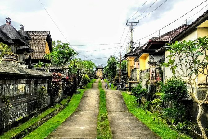 Bali Traditional Village Experience - Key things that make this tour worth your time