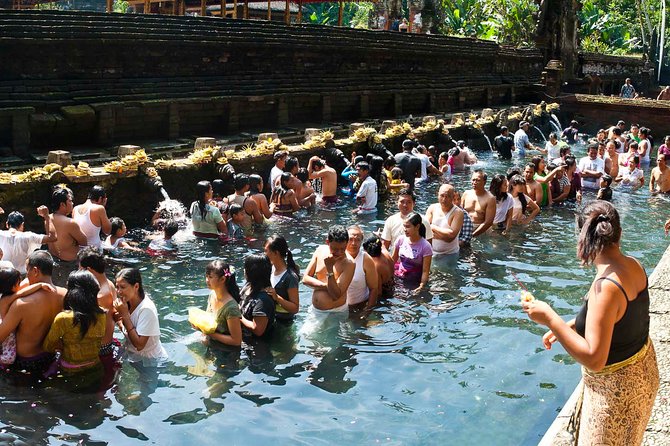 Bali Ubud and Volcano Day Tours - Starting in Ubud: pickup at 9:30 and how the day flows