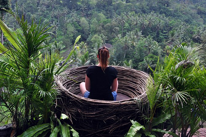 Bali Ubud and Volcano Day Tours - Sacred Monkey Forest Sanctuary: macaque photos with guide help