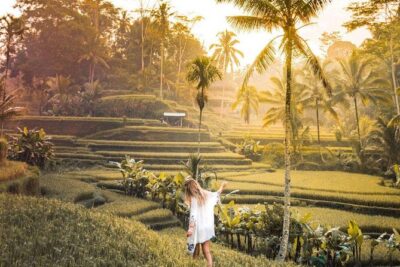 Bali Ubud private Tour with Ubud Bali Driver - FREE WIFI - Price and value: why $38 per person can work