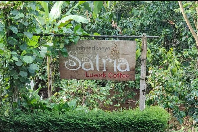 Bali Ubud private Tour with Ubud Bali Driver - FREE WIFI - Stop-by-stop: Sacred Monkey Forest Sanctuary