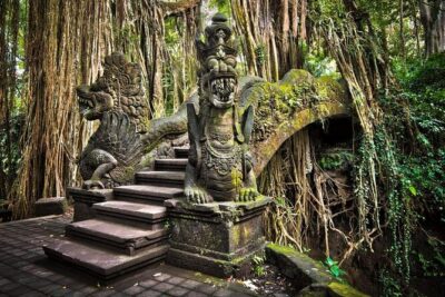 Bali Ubud Tour: Monkey Forest, Waterfall & Rice Terrace - Tegalalang Rice Terrace: How to Get Two Hours That Actually Feel Like Two Hours