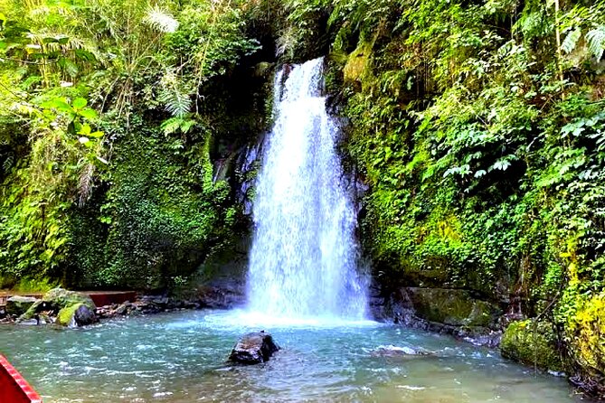 Bali Ubud Zipline Jungle Swing and Waterfall Tour - Why the Driver-Guide Makes This Tour Feel Like a Day Plan, Not a Script