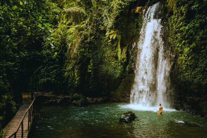 Bali Ubud Zipline Jungle Swing and Waterfall Tour - Tegalalang Rice Terrace Stop: A Practical First Viewpoint