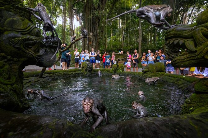 Bali Ubud Zipline, Monkey Forest and Waterfall Adventure - How Pickup and a Private Group Keeps Ubud From Feeling Complicated
