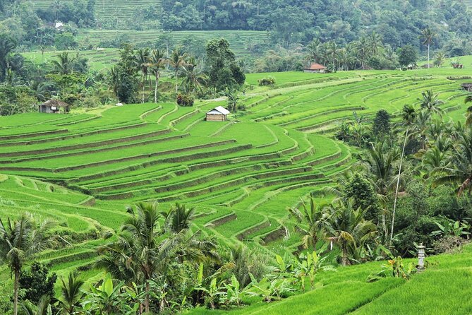 Bali UNESCO Sites: Water Temples and Jatiluwih Rice Terrace Tour - What happens if time permits: the add-on stops list is a whole second tour