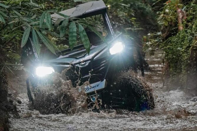 Bali UTV-BUGGY Wild Drive With Lunch at Cretya Sunset - Entering The Ubud Off-Road World: 800CC UTV Power + a Real Guide