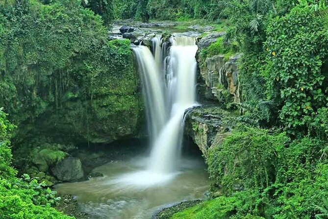 Bali Volcano & Ubud Day Tour – Temples, Rice Terraces & Lunch - Price and Time: Is $80 Worth It?