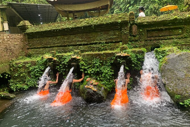 Bali: Water Purification at Pura Mengening - Price and value: what $39.53 buys you in real-world terms