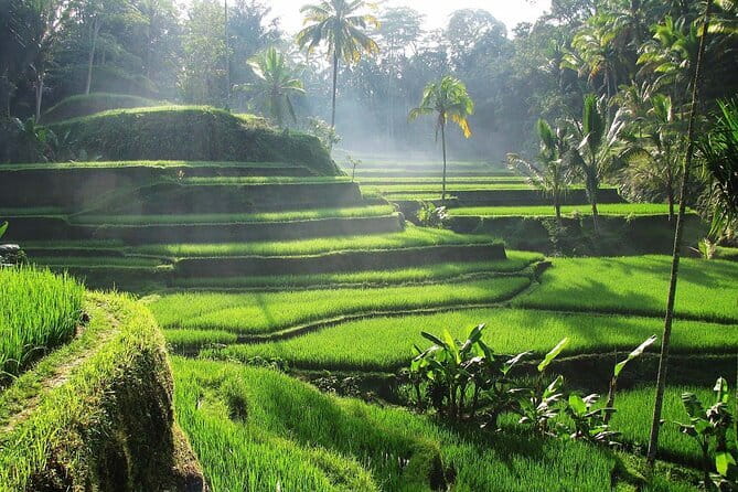 Bali Waterfall in One Day Tours, Hidden Waterfall - All Inclusive - Stop 3: Goa Raja Waterfall and the natural spring pool