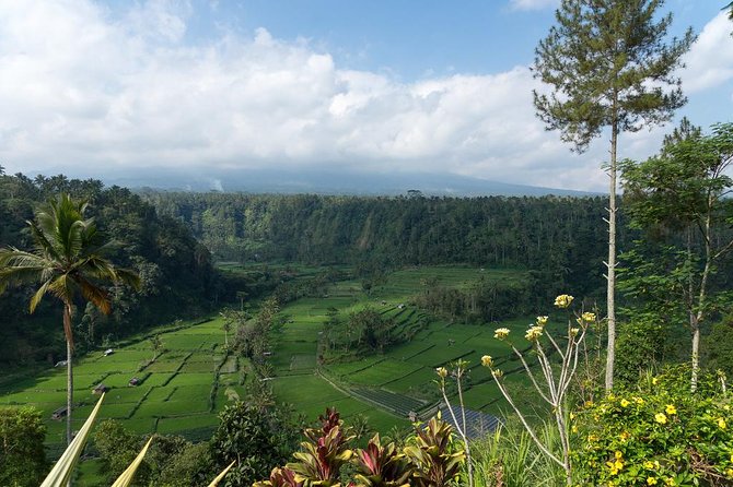 Bali Waterfalls and Temples Tour - Kehen Temple: a Hindu site on a hillside with time to look closely