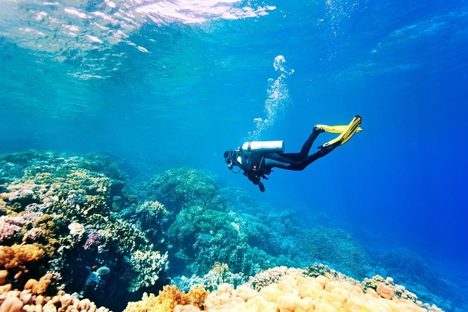Bali Watersport Activities - Great Discount Package - The main caution: facility condition and safety briefings