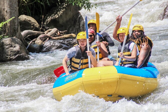 Bali White Water Rafting Adventure at Ayung River Bali - The 14 km Ayung River stretch: 28 rapids and the pace of the ride