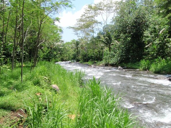 Bali White Water Rafting at Telaga Waja River - Key things I’d zero in on