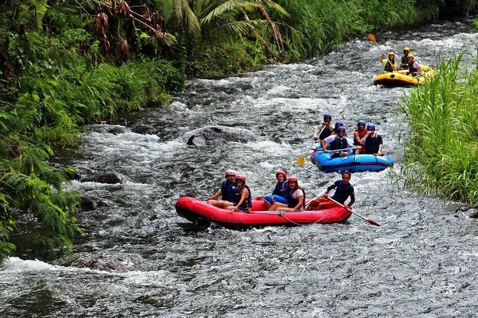 Bali White Water Rafting at Telaga Waja River - Starting Point at Rendang, Karangasem Regency: Safety Briefing and First Views