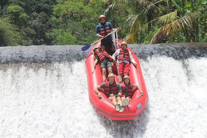 Bali White Water Rafting at Telaga Waja River - Who Should Book Telaga Waja (and Who Might Want a Simpler Day)