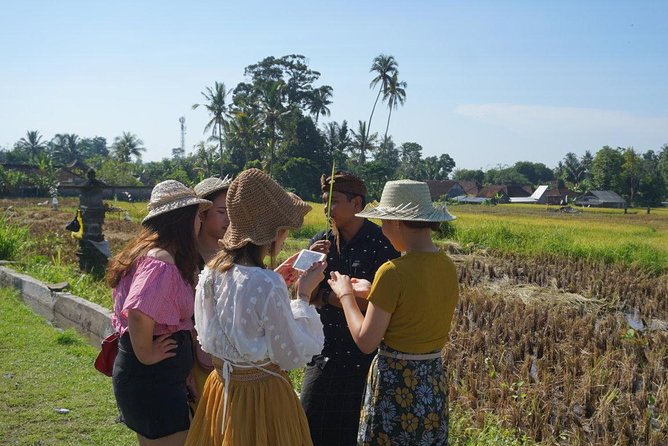 Balinese Traditional Food Cooking Class with Ubud Monkey Forest and SPA - Ubud’s Best Combo: Food First, Monkeys Second, Spa Last