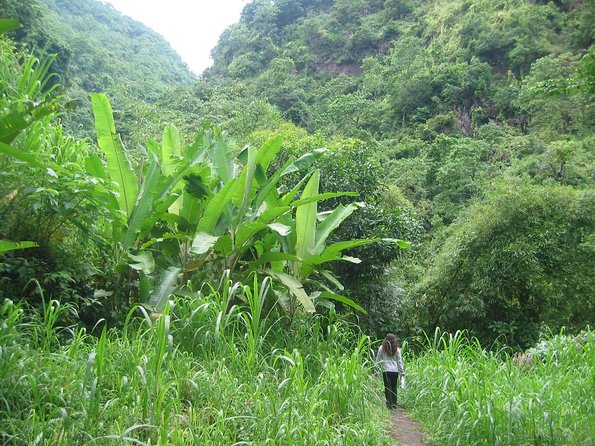 Batur Caldera Sunrise Trekking - What Makes This Batur Sunrise Trek Feel Different