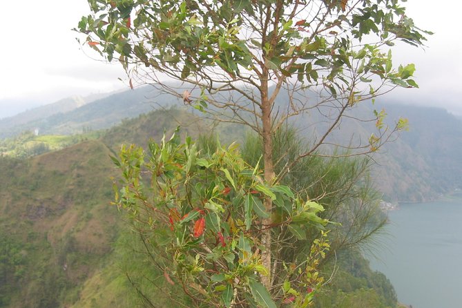 Batur Caldera Sunrise Trekking - Sunrise at the Summit: Hot Drinks, Breakfast, and Wide-Open Moments