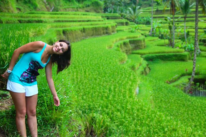Beauty Of West Bali Tour (Private and All Inclusive) - Jatiluwih Rice Terraces (Green Land): Big Views and Real Walking Time