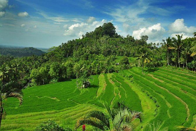 Besakih Temple Tour - Mother Temple in Bali - Besakih Temple: the mother temple with Mt. Agung as the big backdrop