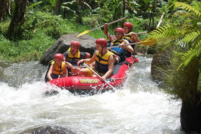 Best Bali Ayung River Rafting with Lunch - What the itinerary feels like in real time (Stop 1: Ayung Dewata Rafting)