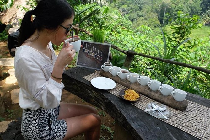 Best Day Trip in Bali - Terrace River Pool Swing: A 30-meter photo-maker over jungle or valley