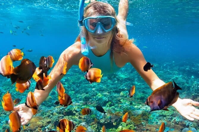 Best of Nusa Penida All-Inclusive Day Trip - Lunch, water, and entrance fees: is $125 worth it?