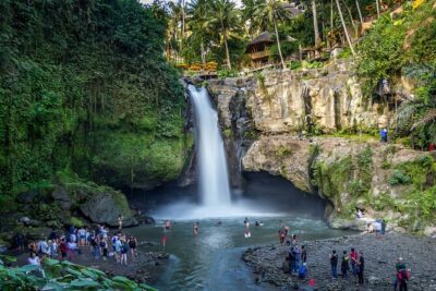 Best of Ubud 1-Day Private Tour - Morning Pickup and How the Day Stays Enjoyable