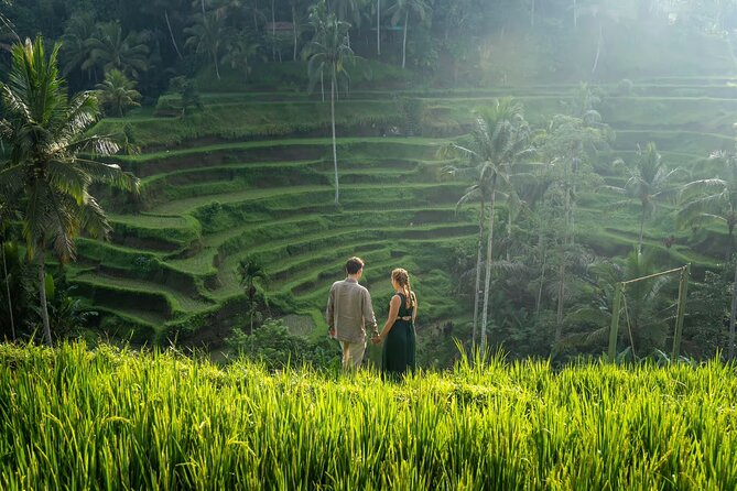 Best of Ubud: All-Inclusive Private Tour with Local Guide - The 8 to 10 hour rhythm: timing, traffic, and comfort