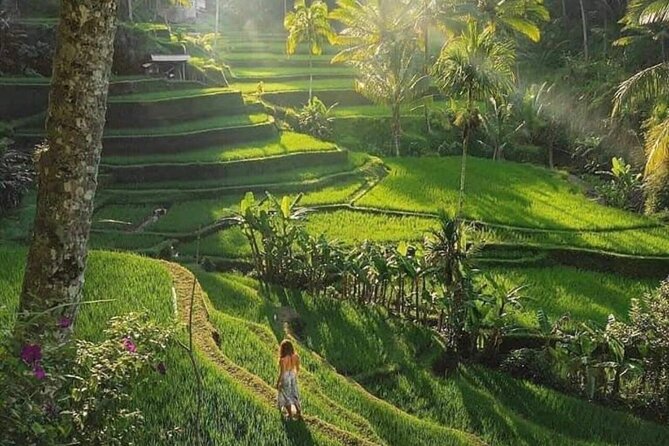 Best of Ubud: All-Inclusive Private Tour with Local Guide - Stop 4: Kanto Lampo Waterfall and its short stair walk