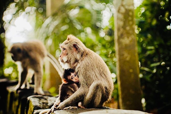 Best of Ubud: All-Inclusive Private Tour with Local Guide - Stop 5: Pangkon Bali Resto & Agrotourism lunch (pay your own bill)