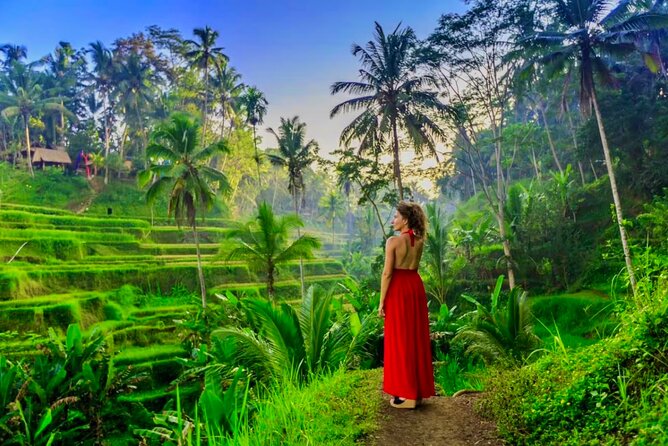 Best of Ubud: All-Inclusive Private Tour with Local Guide - Price and what you really get for $45.87