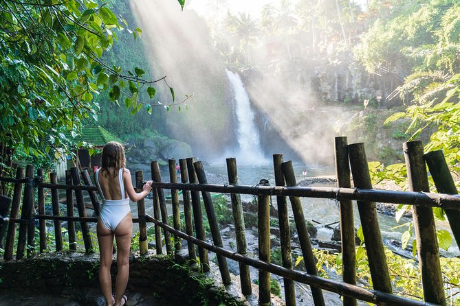 Best of Ubud Attractions: Private All-Inclusive Tour - Tegalalang Rice Terrace: the green-view anchor of your morning