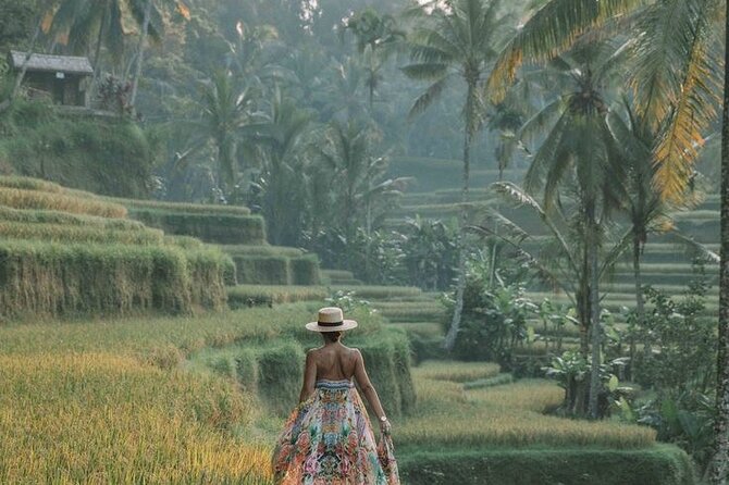 Best of Ubud Full Day Tour with All Inclusive - Rice Terrace, monkeys, and a waterfall: the core Ubud nature block
