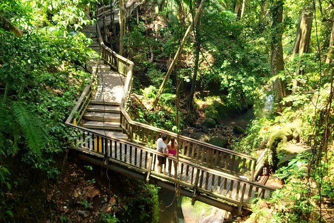 Best of Ubud - Kintamani Volcano View - Private Tour - Door-to-Door Ubud to Kintamani: Why Private Beats Taxi Chaos