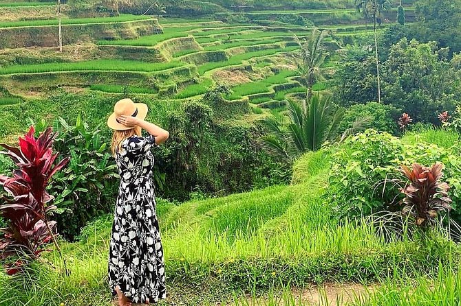 Best of Ubud - Kintamani Volcano View - Private Tour - Monkey Forest Sanctuary: 10 Hectares of Macaques and Sacred Trees