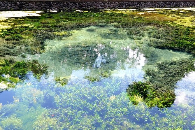 Best of Ubud - Kintamani Volcano View - Private Tour - Timing, Comfort, and Where to Put Your Energy